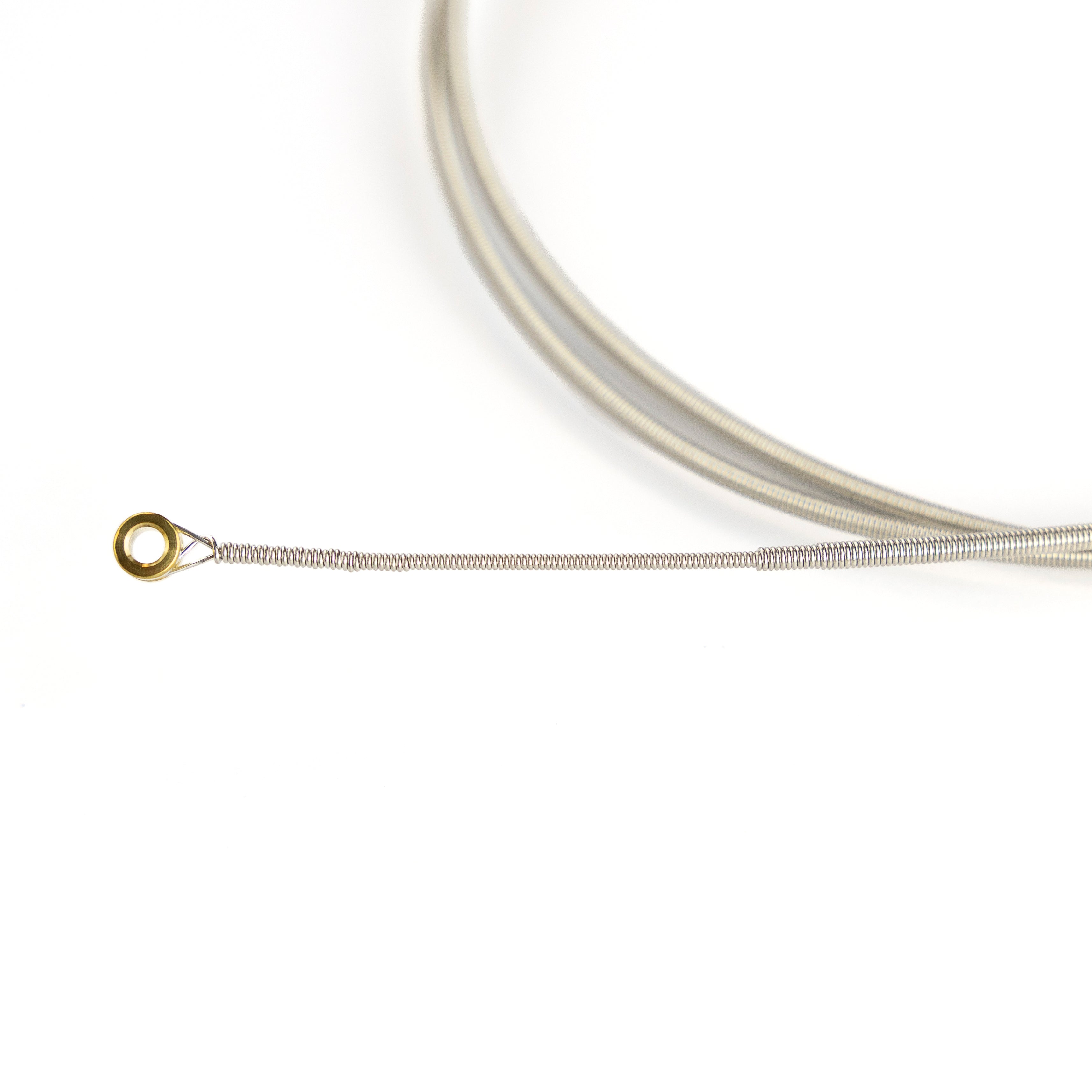 D'Addario NYXLB100TSL NYXL Nickel 100 (.100