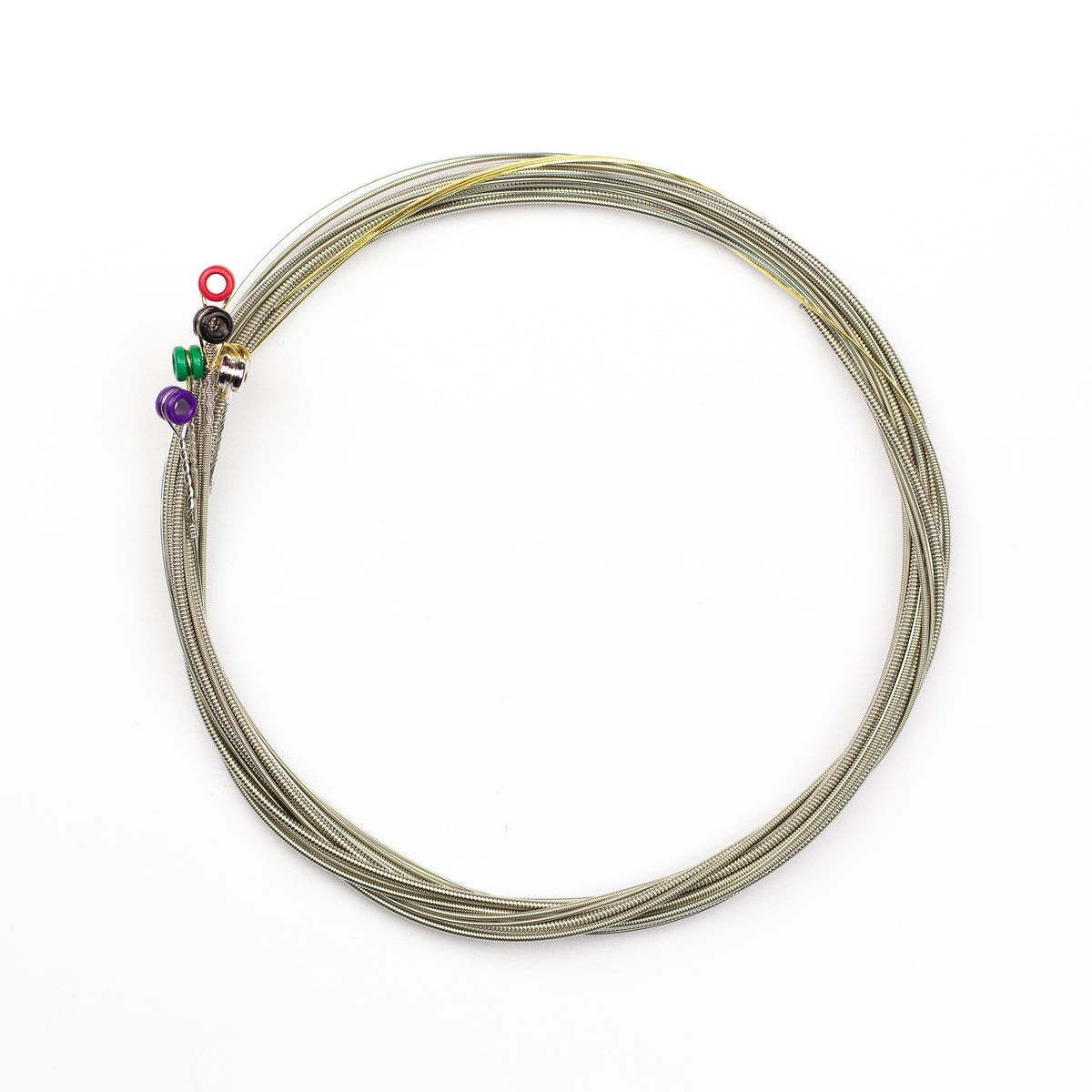 D_AddarioEJElectricNPS6-