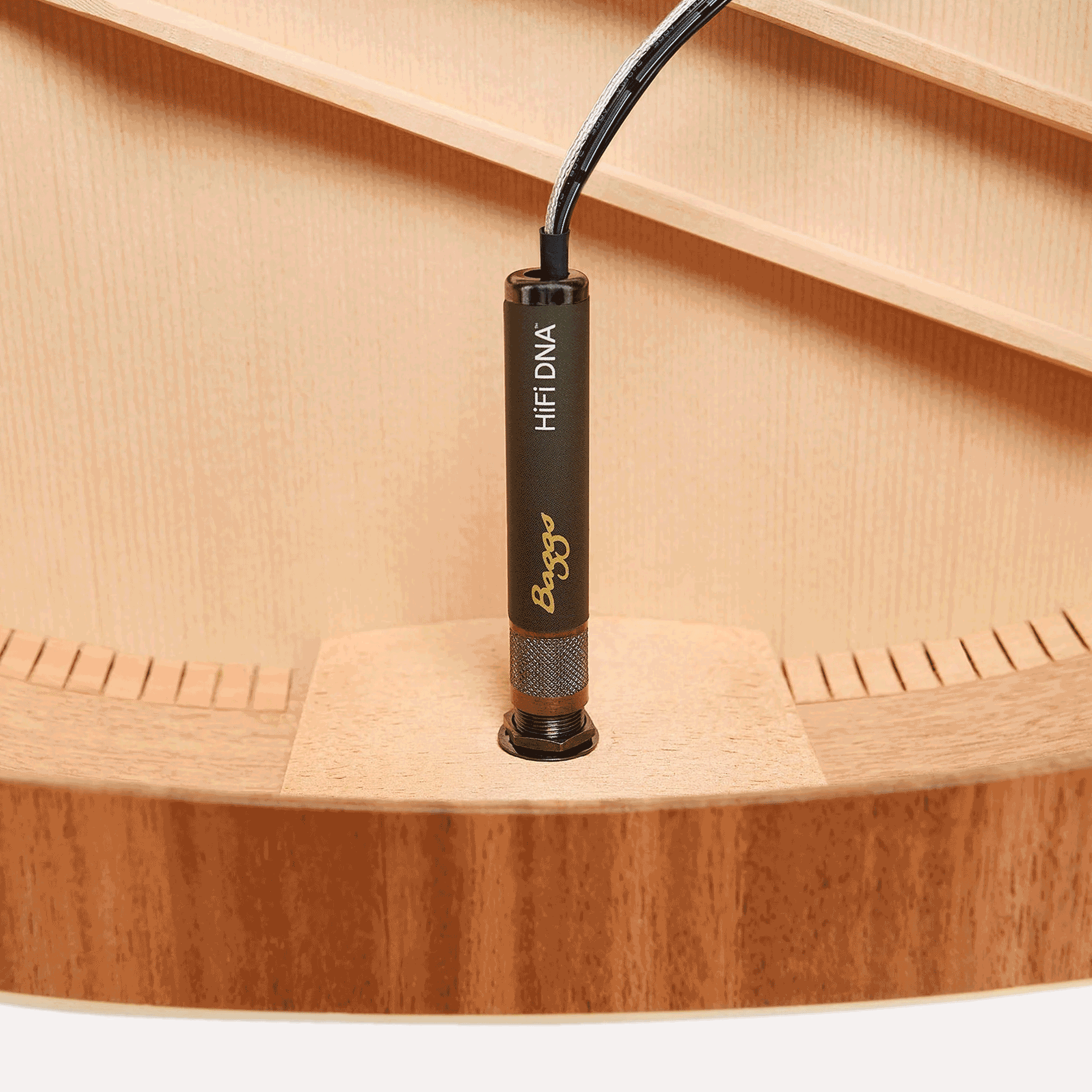 LR Baggs HiFi DNA Acoustic Guitar Bridge Plate Pickup