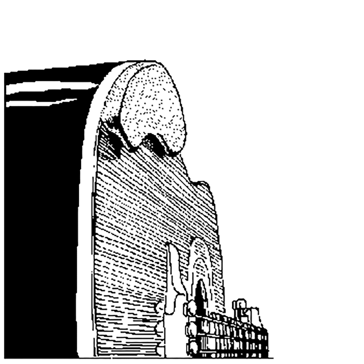 John Pearse Ebony Junior Acoustic Guitar Arm Rest