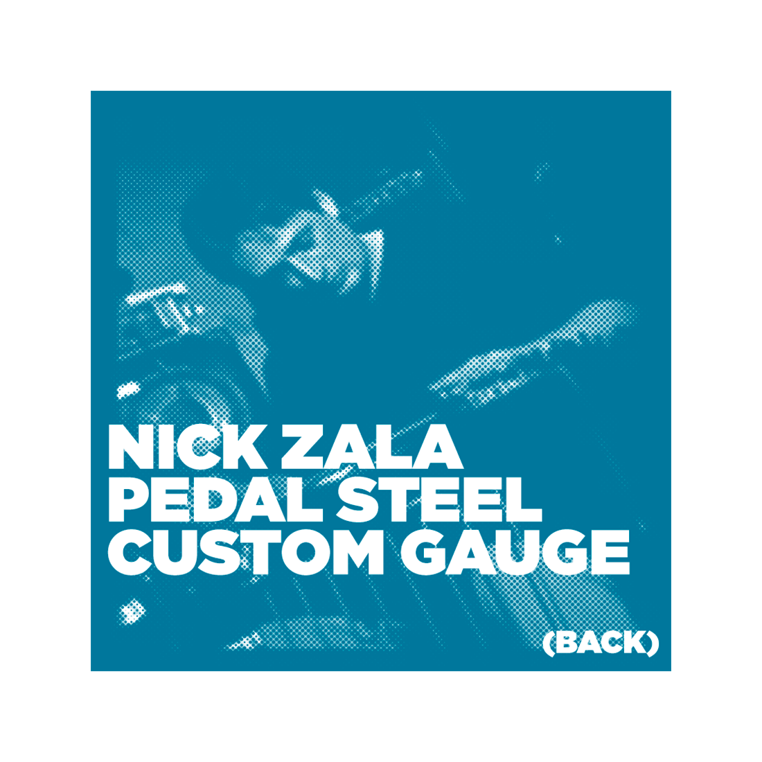 Nick Zala Custom Gauge 12-70 Pedal Steel Strings, C6-Tuning (Back Neck)