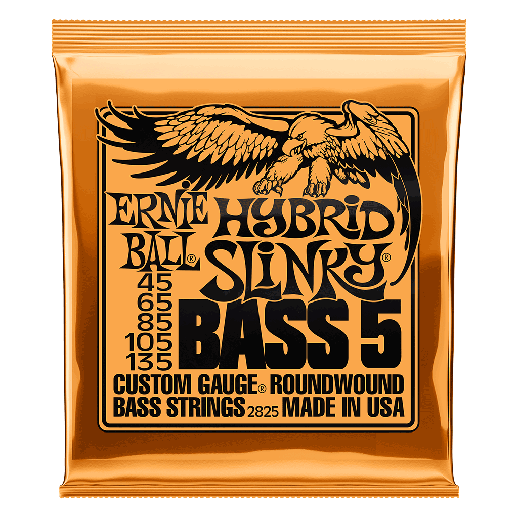 Ernie Ball 2825 5-String Hybrid Slinky 45-135 Bass Guitar Strings, Long Scale