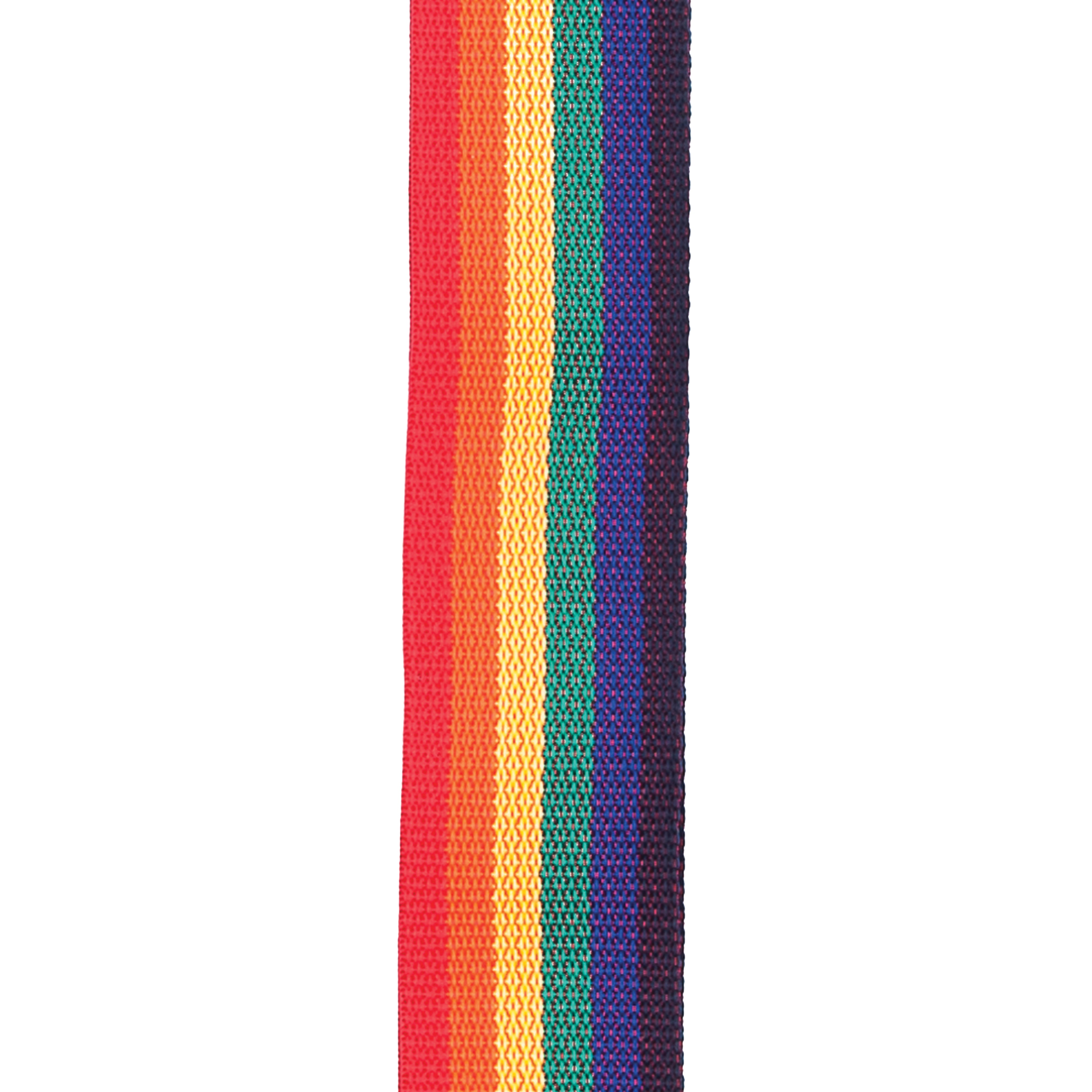 D'Addario Multicolour Rainbow Polypropylene Guitar Strap