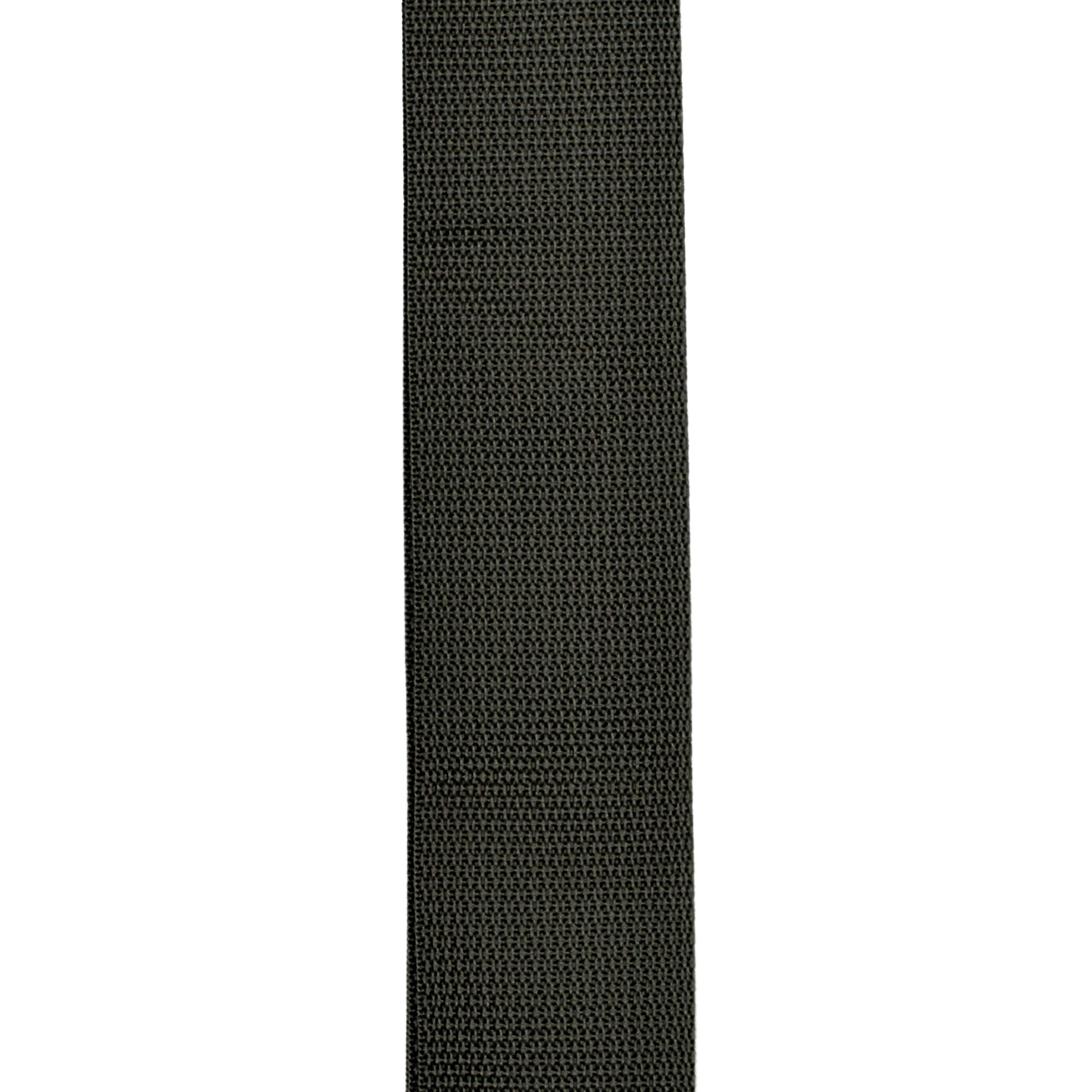 D'Addario Black Planet Lock Polypro Guitar Strap