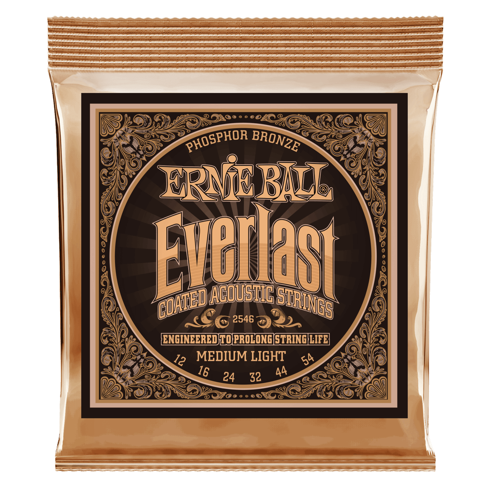 Ernie Ball Everlast Phosphor Bronze 12-54 Acoustic Guitar Strings, Light