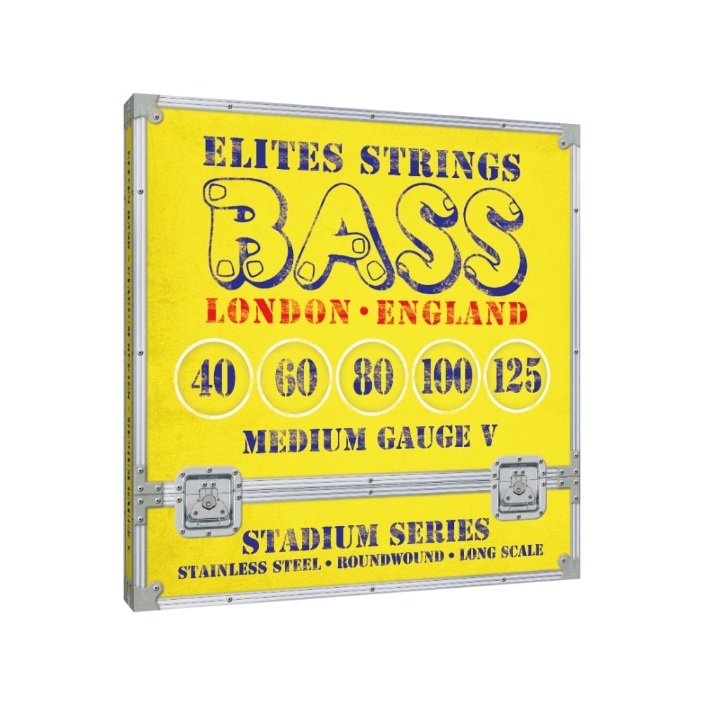 Elites Stadium Series Stainless Steel 40-125 5-String Bass Guitar Strings
