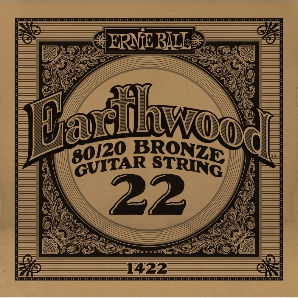 Ernie Ball Earthwood 80/20 Bronze .022w Acoustic Guitar Single String