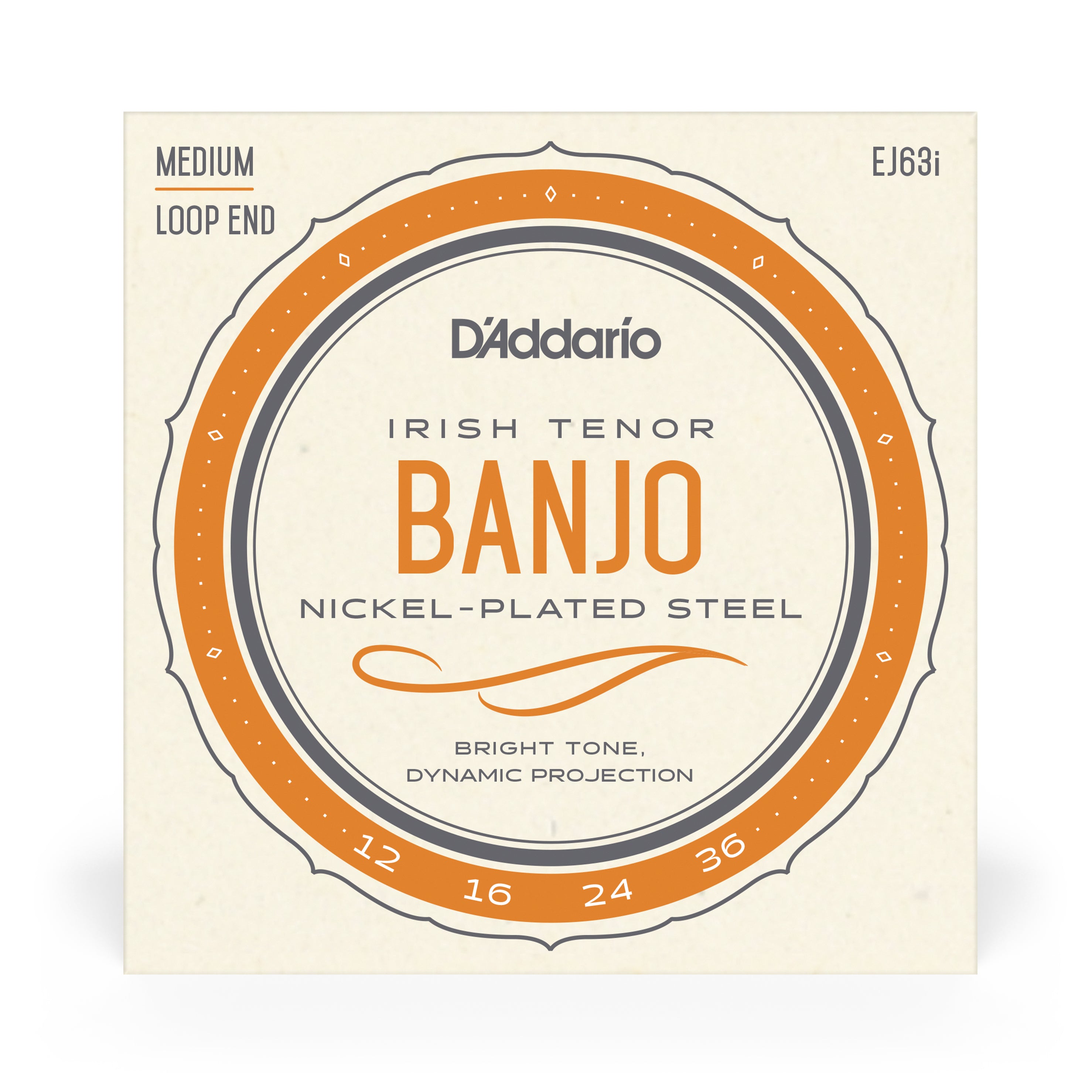 D'Addario EJ63i Irish Tenor Banjo Strings, Nickel Wound, Loop End 12-36