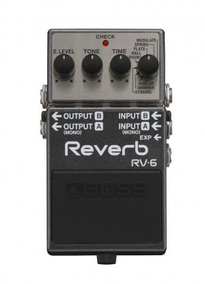 REVERB + NEW BOSS RV-6 REVERB/DELAY PEDAL REVIEW