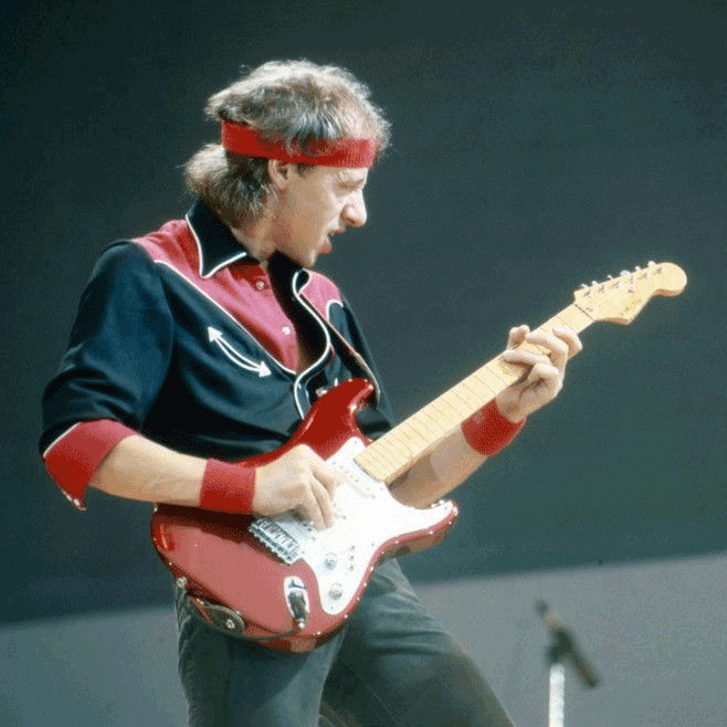 MARK KNOPFLER