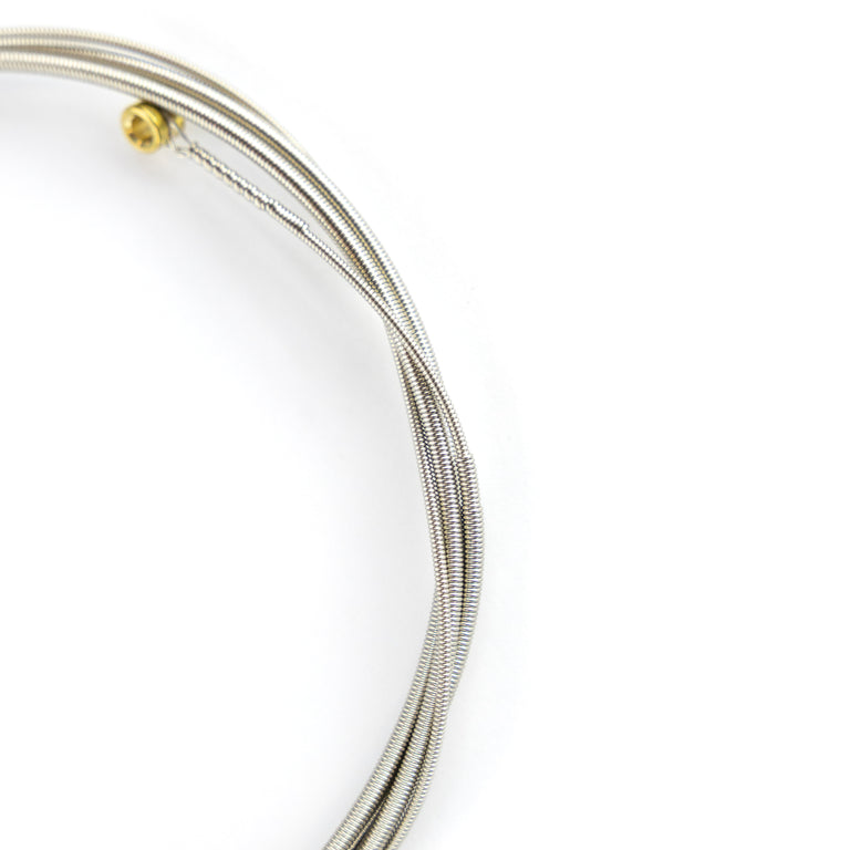 D'Addario NYXLB100TSL NYXL Nickel 100 (.100